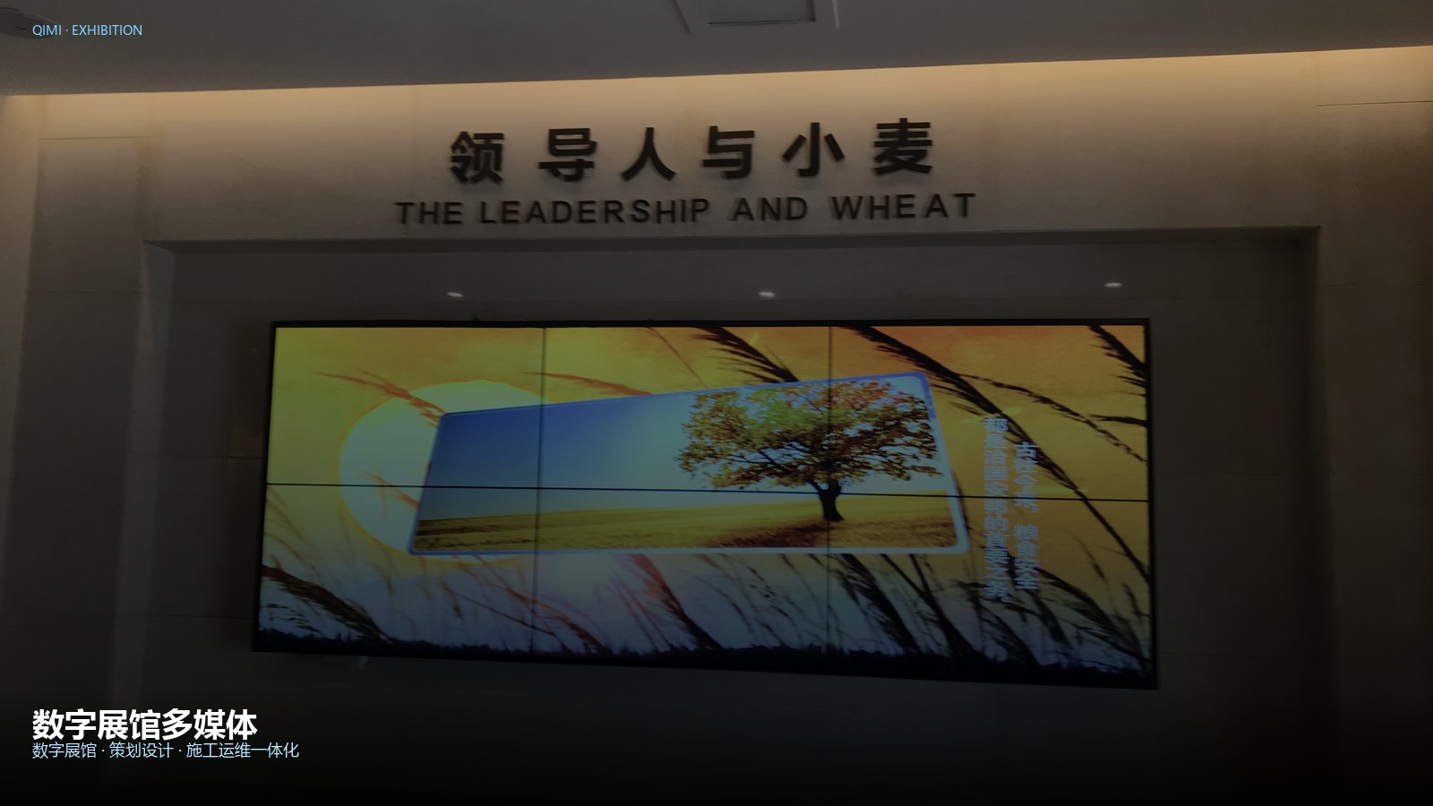 互动多媒体产品与案例